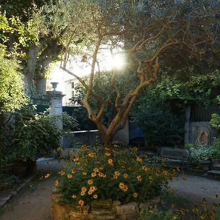 Le Jardin Des Glycines